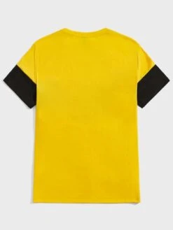 SHEIN Men Letter Graphic Two Tone Tee